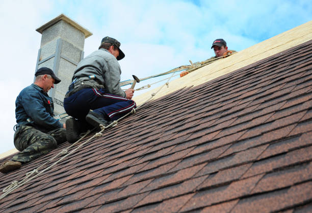 Best Metal Roofing Contractor  in Lake Shore, UT